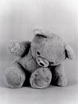 Favorite Objects: Teddy Bear