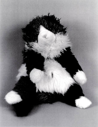 Favorite Objects: Cat