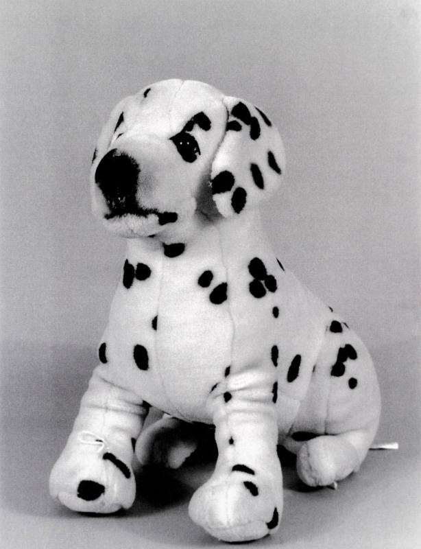 Favorite Objects: Dog
