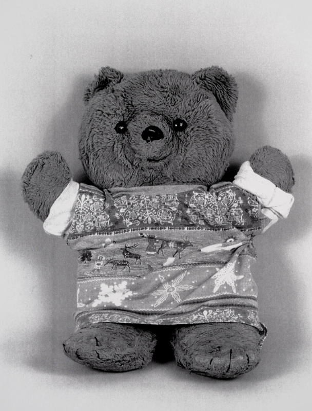 Favorite Objects: Teddy Bear