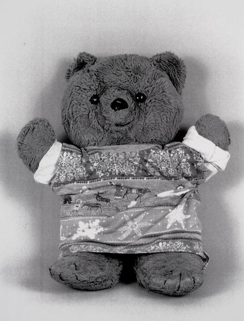Favorite Objects: Teddy Bear