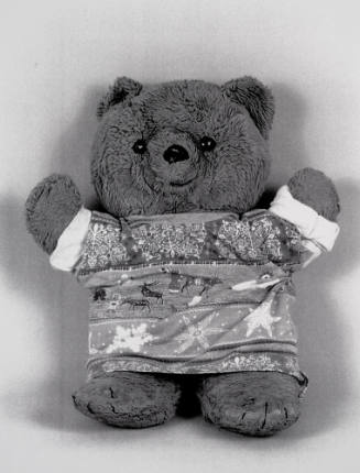 Favorite Objects: Teddy Bear