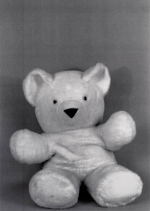 Favorite Objects: Teddy Bear