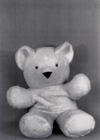 Favorite Objects: Teddy Bear