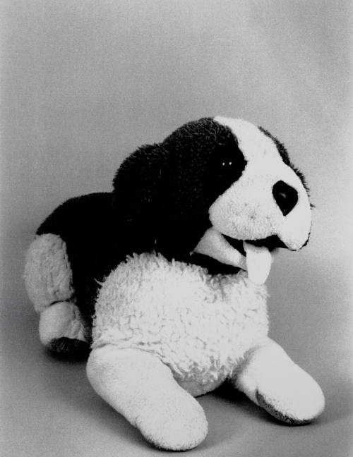 Favorite Objects: Dog