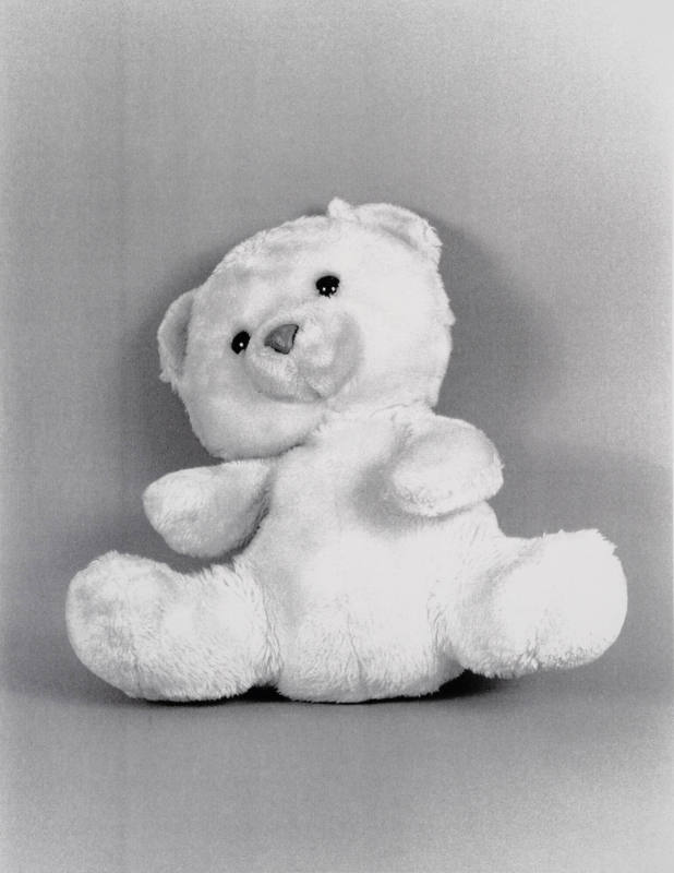 Favorite Objects: Teddy Bear