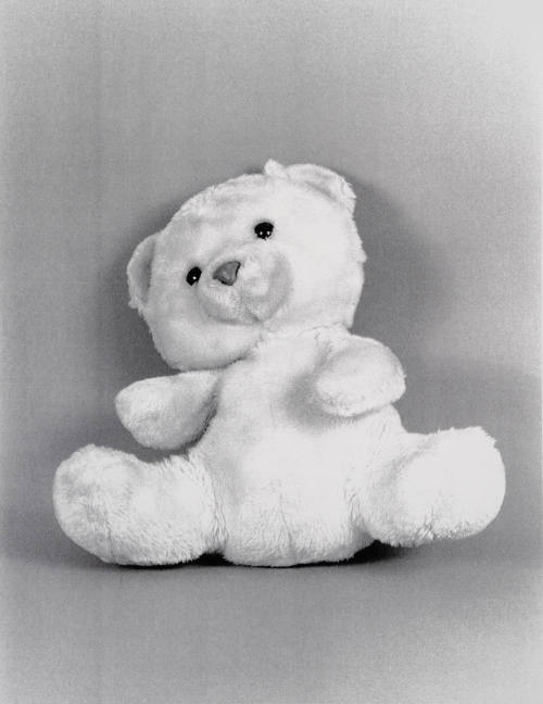 Favorite Objects: Teddy Bear