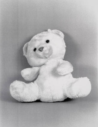 Favorite Objects: Teddy Bear