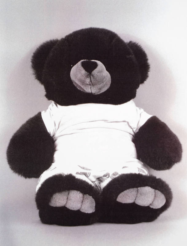 Favorite Objects: Teddy Bear