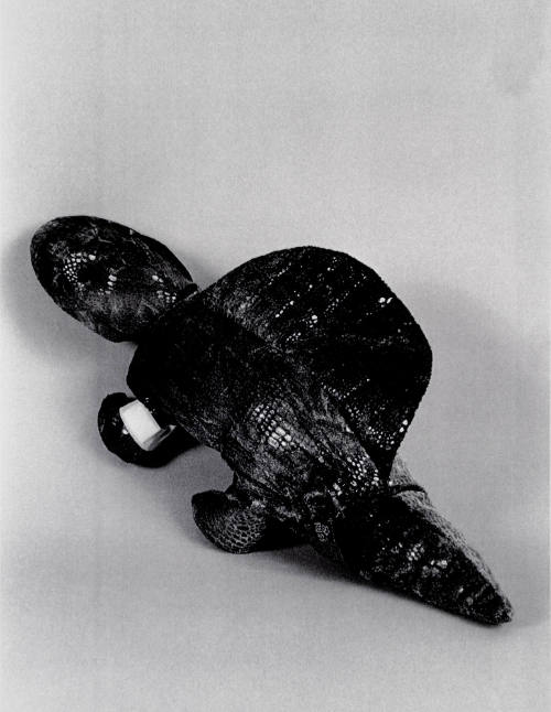 Favorite Objects: Turtle