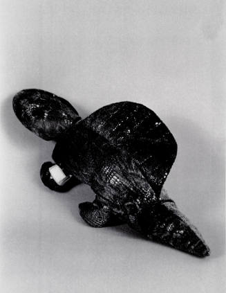 Favorite Objects: Turtle