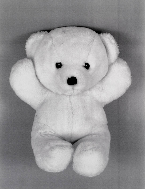 Favorite Objects: Teddy Bear