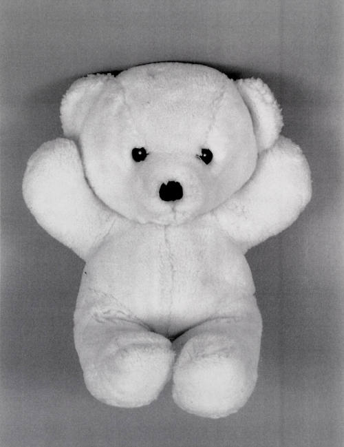 Favorite Objects: Teddy Bear