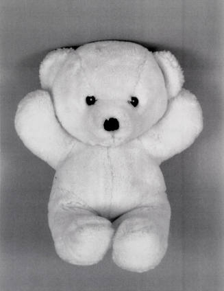 Favorite Objects: Teddy Bear