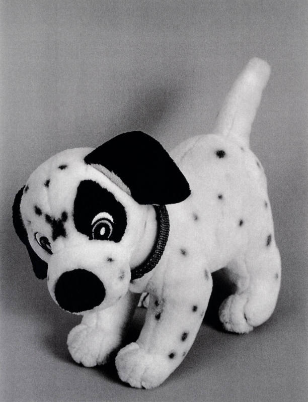 Favorite Objects: Dog