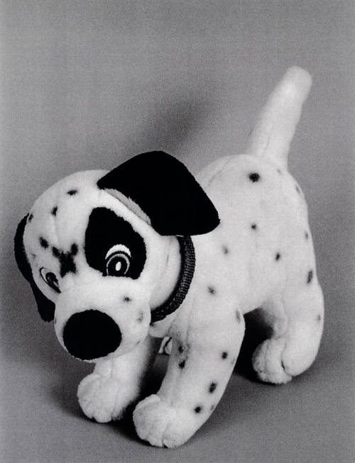 Favorite Objects: Dog