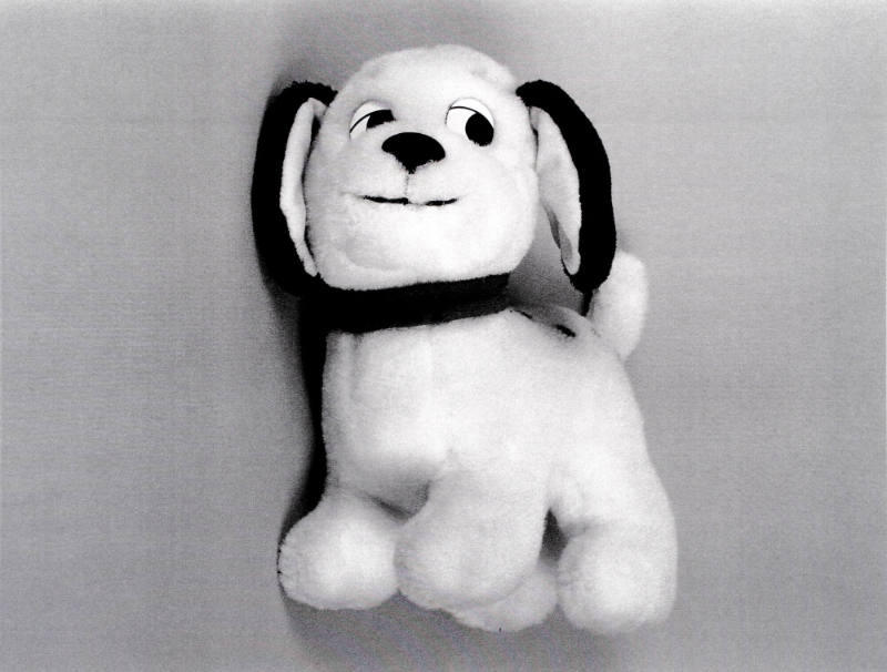 Favorite Objects: Dog