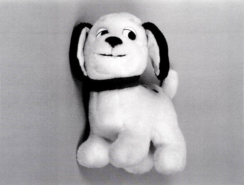 Favorite Objects: Dog