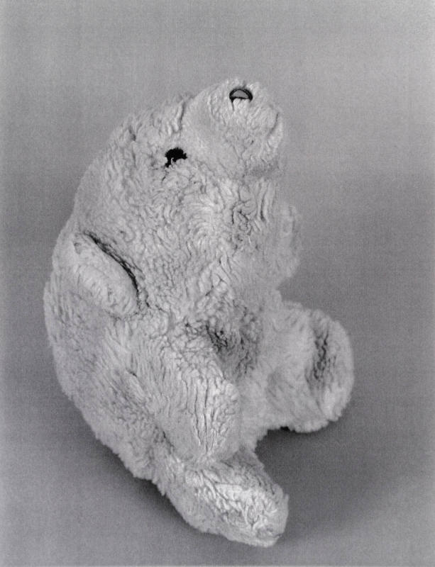 Favorite Objects: Bear