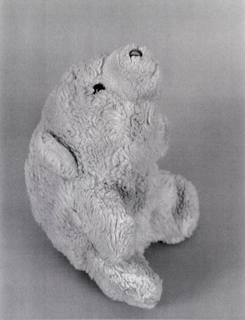 Favorite Objects: Bear