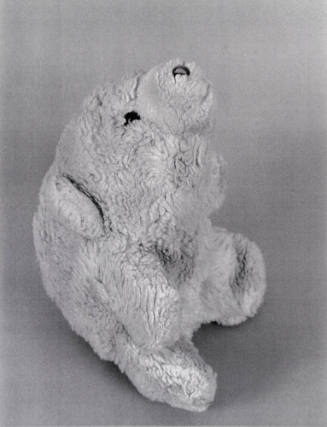 Favorite Objects: Bear