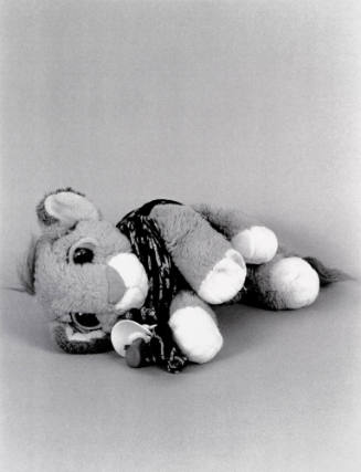 Favorite Objects: Lion