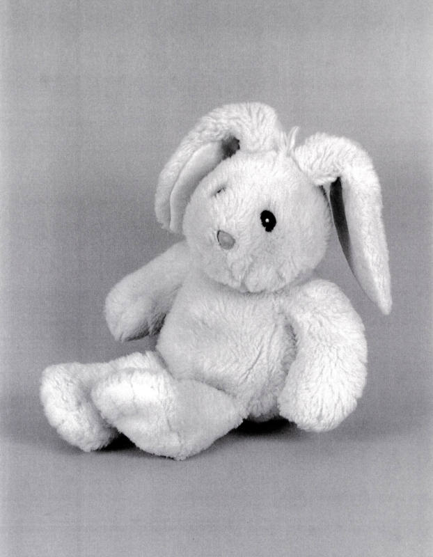 Favorite Objects: Rabbit