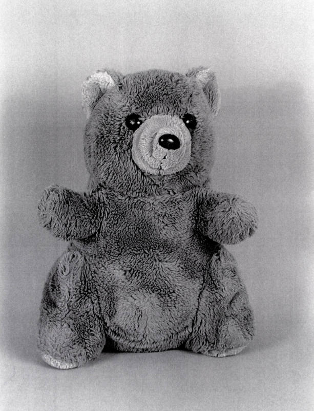 Favorite Objects: Teddy Bear