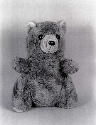 Favorite Objects: Teddy Bear