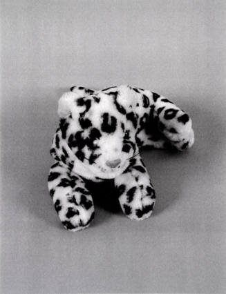 Favorite Objects: Leopard