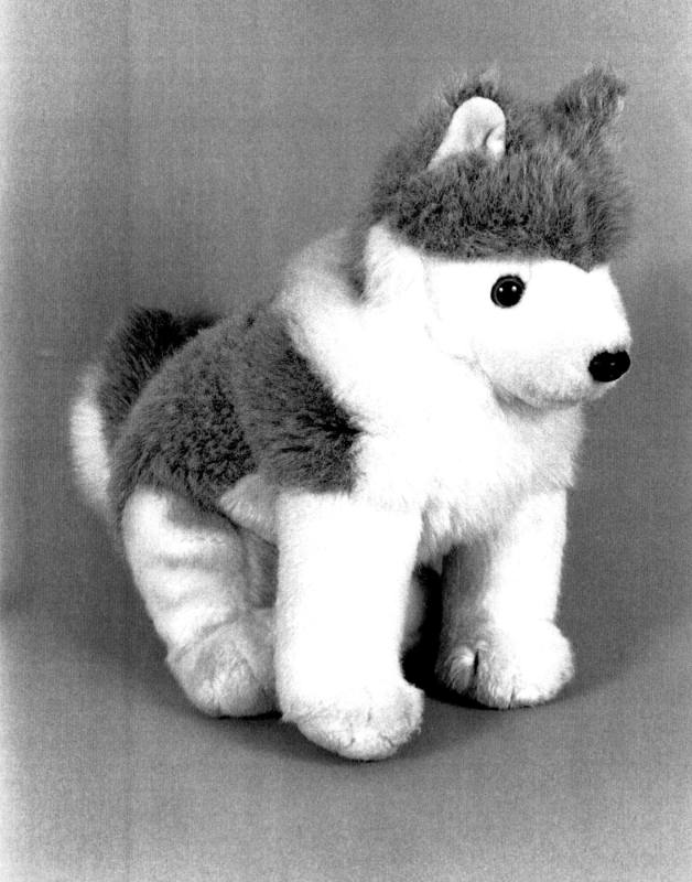Favorite Objects: Dog