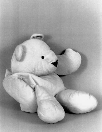 Favorite Objects: Teddy Bear