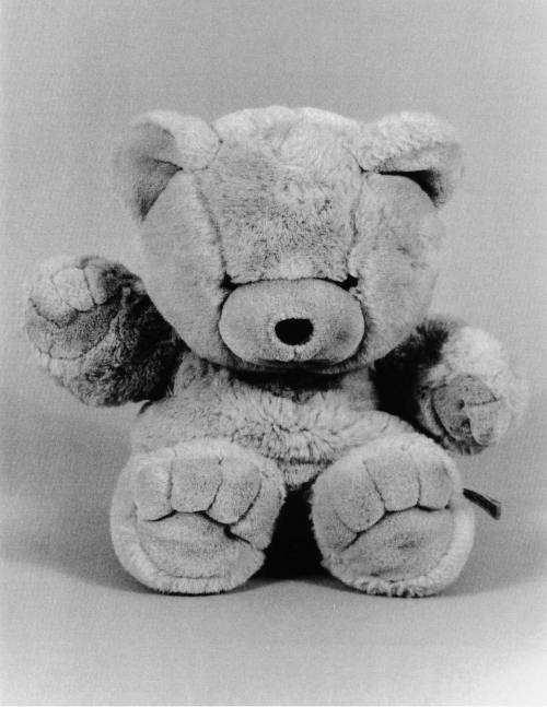 Favorite Objects: Teddy Bear
