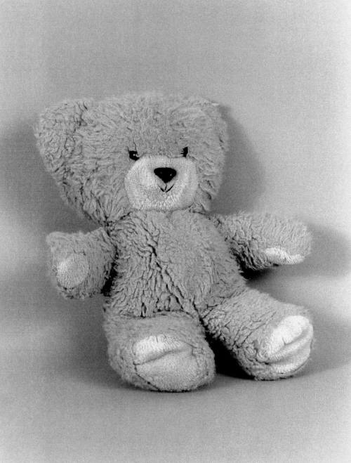 Favorite Objects: Teddy Bear