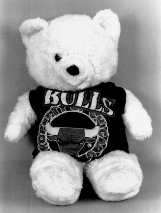 Favorite Objects: Teddy Bear
