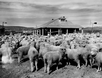 Cordova, Rio Arriba County, New Mexico