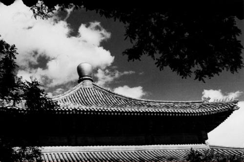 Pagoda Roof