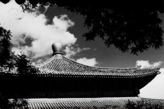 Pagoda Roof