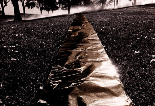 Interrupted landscape