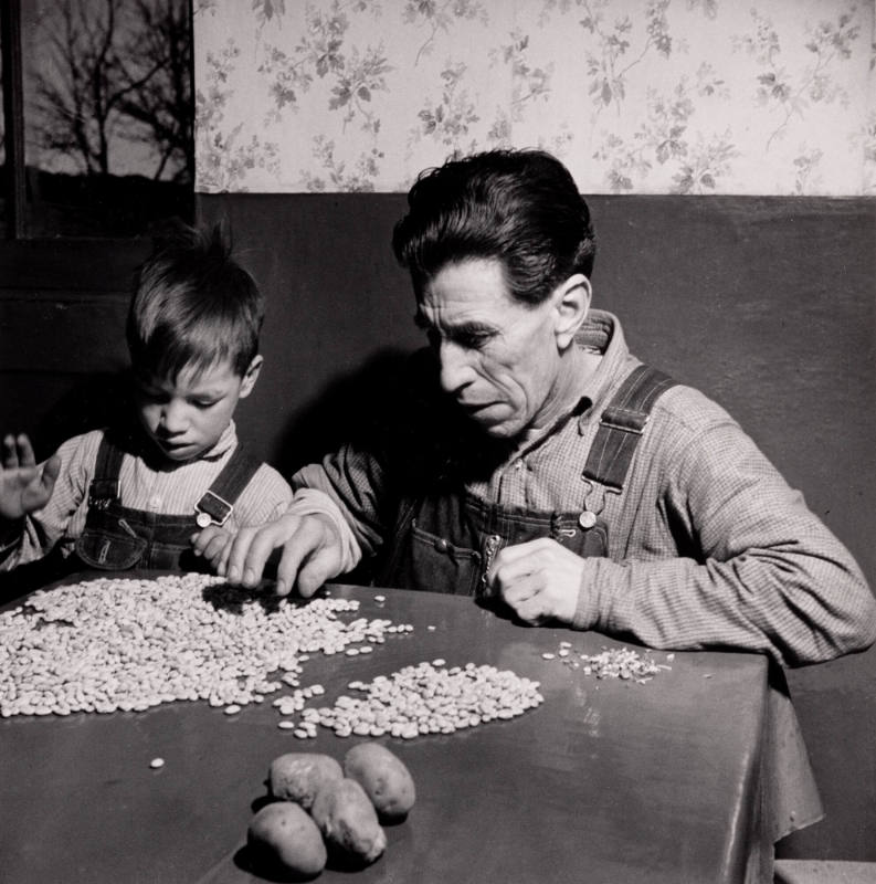 Sorting Beans, Juan Lopez and Son, Trampas, New Mexico