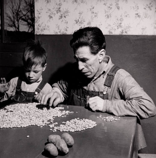 Sorting Beans, Juan Lopez and Son, Trampas, New Mexico