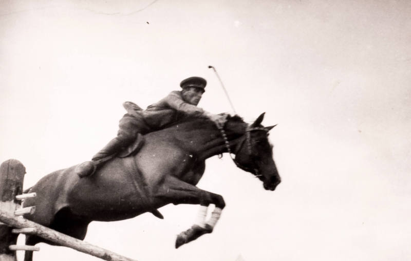 Cavalry