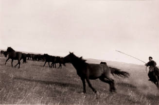 Buryat Area, Aginokiy Region