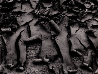 Mud Flakes, Canon de Chelley, Arizona 1953