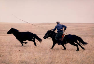 Mongolian Horseman