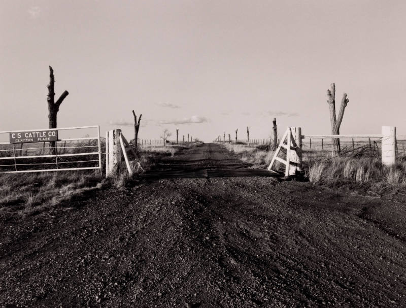 C. S. Cattle Company, near Miami, New Mexico, 1982