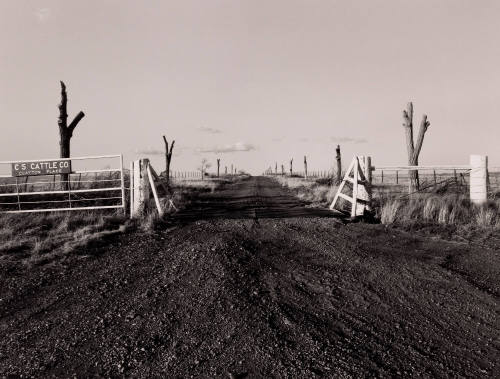C. S. Cattle Company, near Miami, New Mexico, 1982