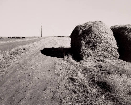 Near Dalhart, Texas, 1981