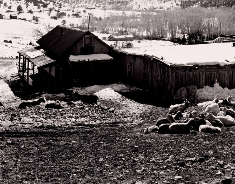 Ranch, Pecos River, New Mexico