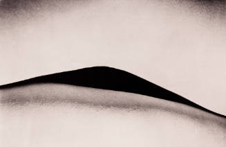 Carne y Hueso #6 (from the series Carne y Hueso)